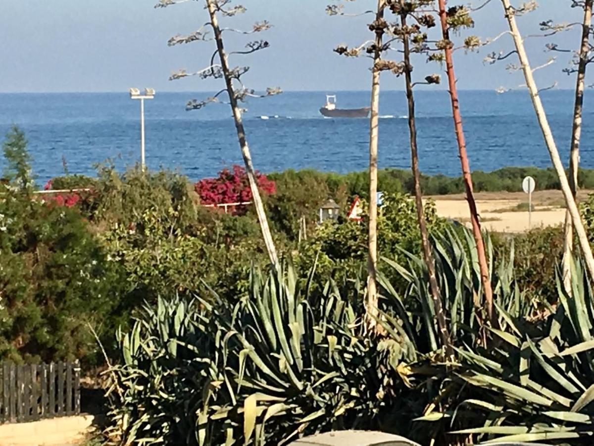 Diamond Complex Lägenhet Paphos Exteriör bild