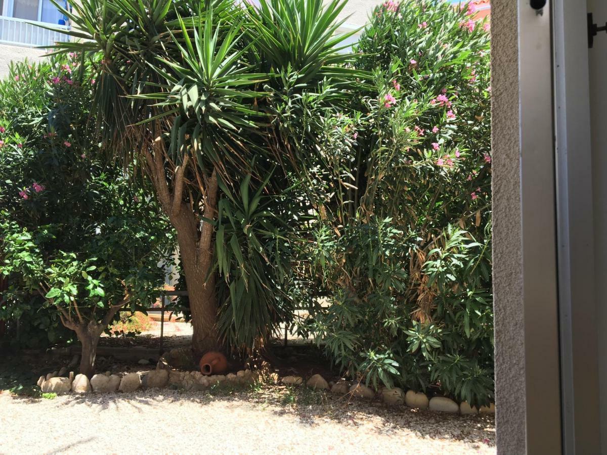 Diamond Complex Lägenhet Paphos Exteriör bild